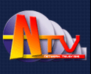 Netwerk Televisie logo