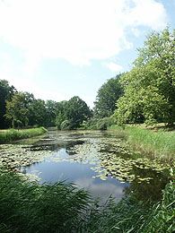 Dimage 7i review: kasteelvijver, 28mm