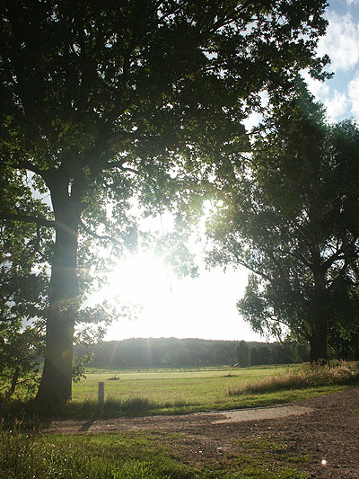Dimage 7i review: foto zonsondergang tegenlicht