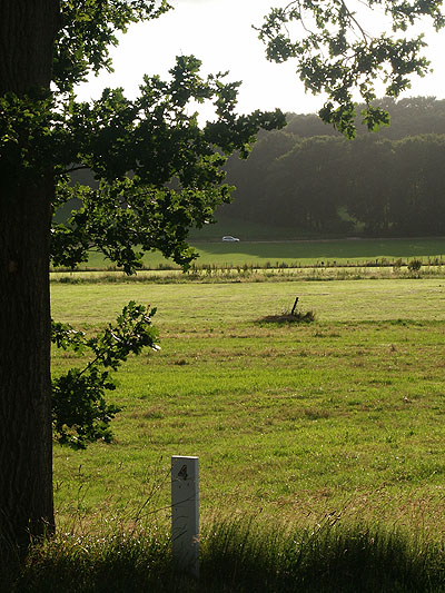 Dimage 7i review: foto weilanden zonsondergang