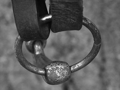 Dimage 7i review: foto riem met ring