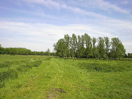Nuenen, voor de invasie