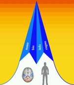 Nano, bio, info, cognic