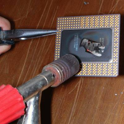 Tweakers.net Kookcursus 7: Pentium fileren
