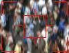 Biometrie