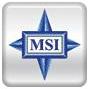 MSI logo