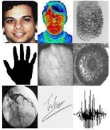 Biometrie (overzicht voorbeelden)