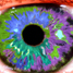 Biometrie