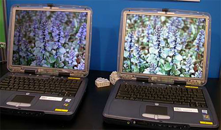 LTPS LCD naast normaal LCD