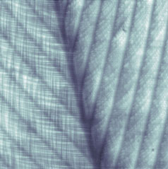 Close-up veer met CDM-lens zonder filtering