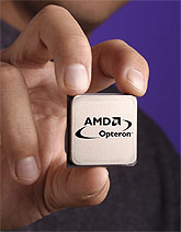 AMD Opteron met hand perspic (klein)