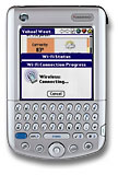 Palm Tungsten 5