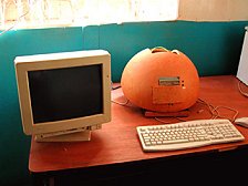 Cool case African style: kalebas-case