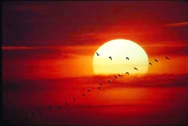 Zon, warm, puf puf