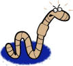 Worm