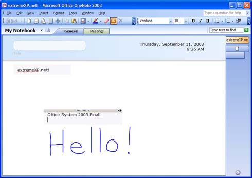 Microsoft Office 2003: OneNote (klein)