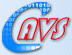 AVS logo