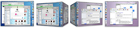 Fast User Switching