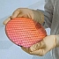 AMD wafertje