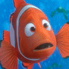 Finding Nemo