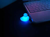 iDuck @ nightmode
