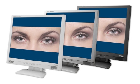 Iiyama ProLite E481S-serie comboshot (klein)