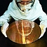 Intel Pentium 4 wafer (67x67)
