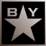 BayStar Capital logo