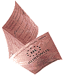 rijbewijs roze papiertje