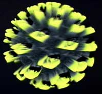NV40 displacement animatie