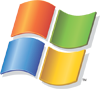 Windows logo / vlag (medium)