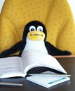 Tux achter desktop (kleiner)