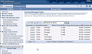 TotalStorage SVC Screenshot