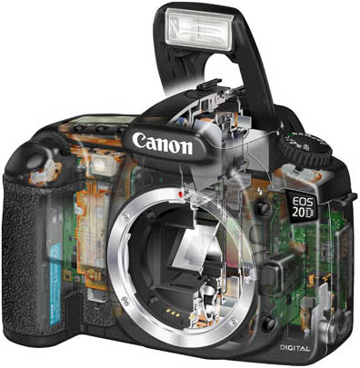Canon EOS 20D inside
