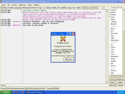 SilvereX X-Chat for Windows screenshot (klein)