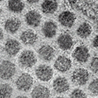 Nanodots