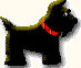 WinPatrol logo