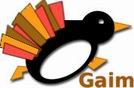 Gaim 1.0.3 logo
