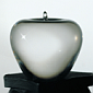 Apple (Appel in glas)