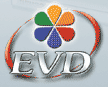 Enhanced Versatile Disc (EVD)