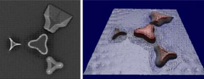 Computational Nanovision Computational Nanovision