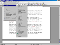 OpenOffice.org 2.0 - Writer I (klein) OpenOffice.org 2.0 - Writer I (klein)