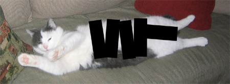 Internetpoes (gecensureerd) Internetpoes (gecensureerd)