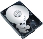 Seagate Barracuda 7200.9 (klein)