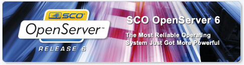 OpenServer 6 logo