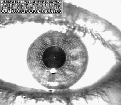 Irisscan Irisscan