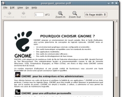 Gnome 2.12 - Evince (klein)