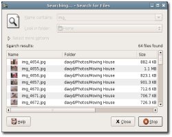 Gnome 2.12 - Gnome Search Tool (klein)