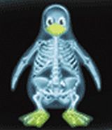 Linux X-ray