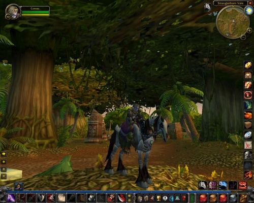 World of Warcraft (klein)